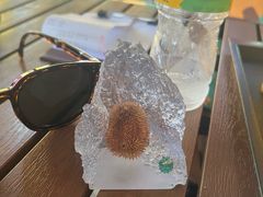 -榴莲BB 四季果园