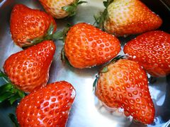 -PAGODA百果园(深圳天琴阁店)