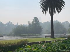 -墨尔本皇家植物园