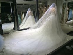 -韩国天使嫁衣婚纱礼服馆(上海旗舰店)