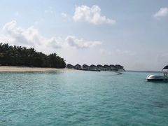 -中央格兰德岛温泉度假酒店 - 全包