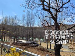 -日光山谷营地乐园