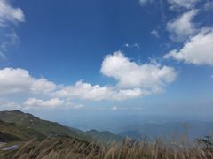 -大围山国家森林公园