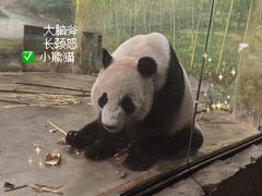-上海野生动物园