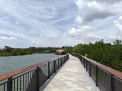 -东寨港红树林旅游区