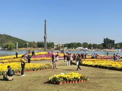 -上海月湖雕塑公园