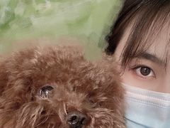 -东莞宠友24H宠物中心医院·转诊夜诊·异宠(新河北路院)