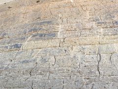 -福建土楼（华安）旅游区•大地土楼群