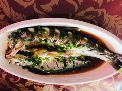 -晓琦农家菜馆·地道农家菜