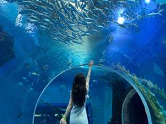 -波塞冬旅游度假区