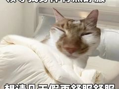 -大别山南武当滑雪场