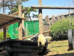 -大连森林动物园