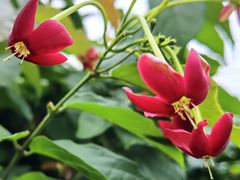 -广州市白云山风景名胜区