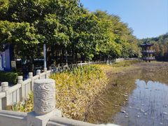-福神岗公园
