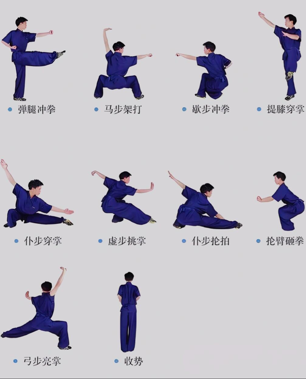 武术十二个动作