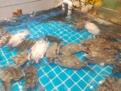 -九月海·海鲜自助(世纪东方店)