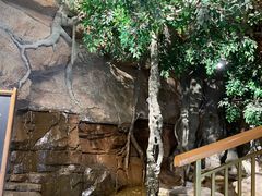 -阿斯牛牛·凉山菜(新会展店)