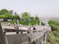 -铁山坪森林公园