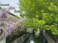 -观唐（国际）度假村温泉