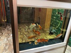 -满禾林火锅(丹东路店)