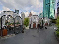 -上海金陵紫金山大酒店