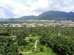 -三亚亚龙湾红树林度假酒店