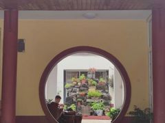 -遇见小院—虹鳟鱼•农家菜(怀柔店)