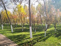 -九十九顶毡房(阜石路店)