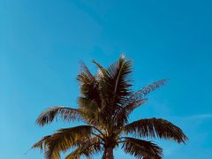 -太平洋咖啡(海天驿站店)