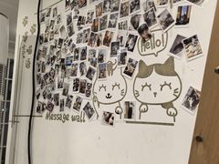 -楼上猫咖(罗湖店)
