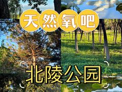 -北陵公园
