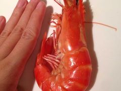 -珍宝轩海鲜火锅(碧湖大厦店)