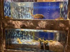 -陶陶居·雅园(凯华国际店)