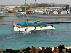 -秦皇岛乐岛海洋王国