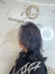 -潘多拉Hairsalon