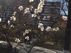 -文瀛公园