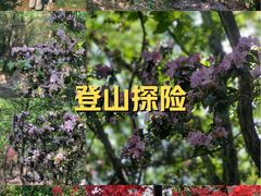 -午潮山国家森林公园