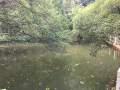 -西樵山风景名胜区-天湖公园