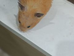 -INLOVE KTV(西溪印象城店)