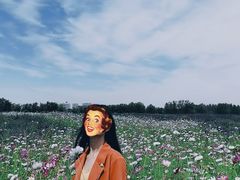 -赛汗塔拉风情园