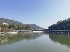 -银湖山郊野公园-相思林
