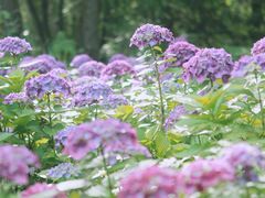 -重庆雨台山风景区