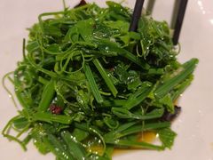 -时光乌托邦空中花园·川味·礼宴(星汇两江店)