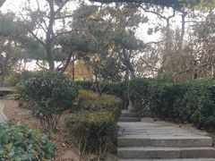 -观象山公园