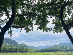 -中国茶叶博物馆(双峰馆区)