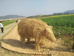 -光明小镇欢乐田园
