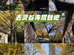 -灵谷景区