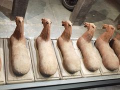 -常赢三兄弟·清真涮肉·清真炒菜(朝阳新城店)