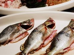 -贺庄·活鱼馆(珠吉路店)
