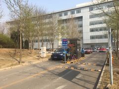 -首都医科大学附属北京地坛医院